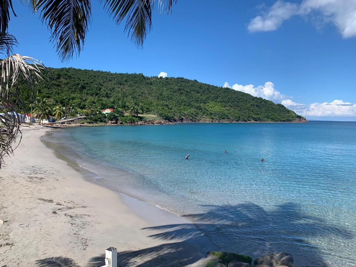 Ti Kaz Anoli Cottage En Bois Avec Vue Sur La Baie Terre-de-Bas المظهر الخارجي الصورة