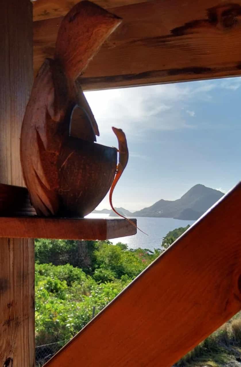 Ti Kaz Anoli Cottage En Bois Avec Vue Sur La Baie Terre-de-Bas المظهر الخارجي الصورة